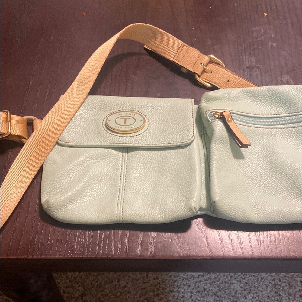 Tignanello Green and Tan Crossbody Bag with Leather Trim